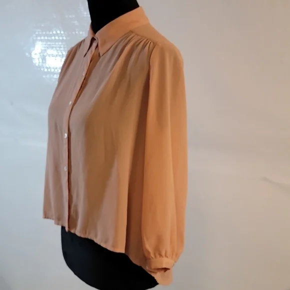 Forever 21 Blush Colored Button-up Sheer Blouse Size Small - Picture 3 of 11